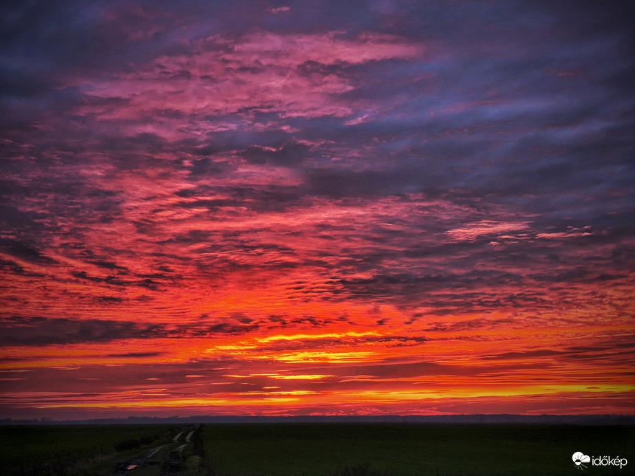 Ősz végi alkonyati lángtenger