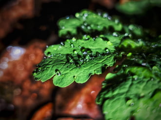 Hol kevésbé, hol jobban esik az eső