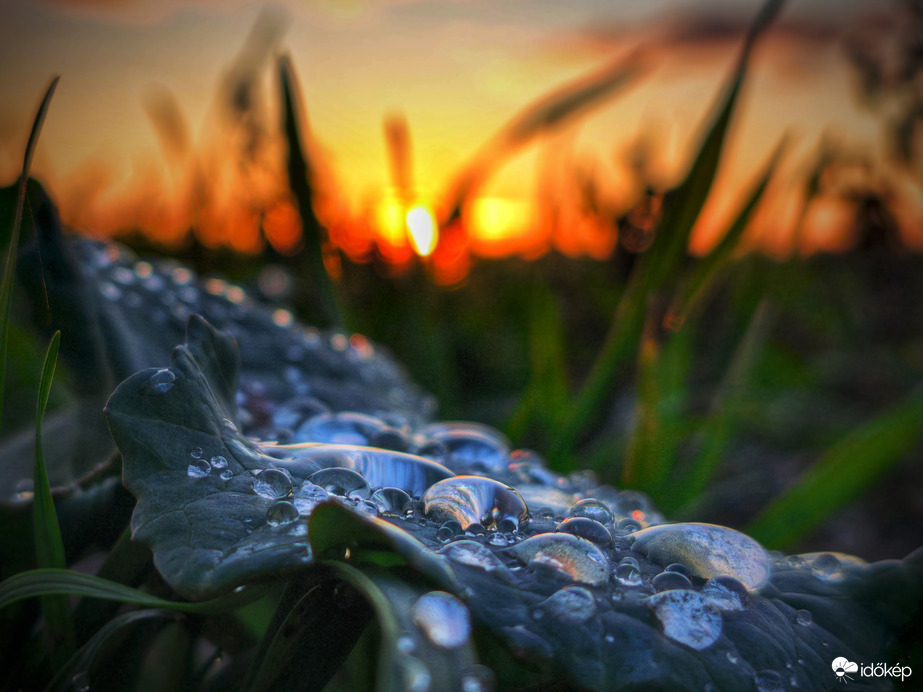 Decemberi színátmenet naplementekor