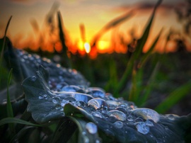 Decemberi színátmenet naplementekor