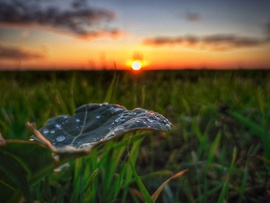 Naplemente az eső után