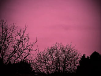 Rózsaszínbe borult alkonyati paplan