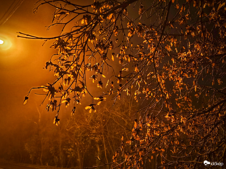 Ködös lámpafényben fürdik az este
