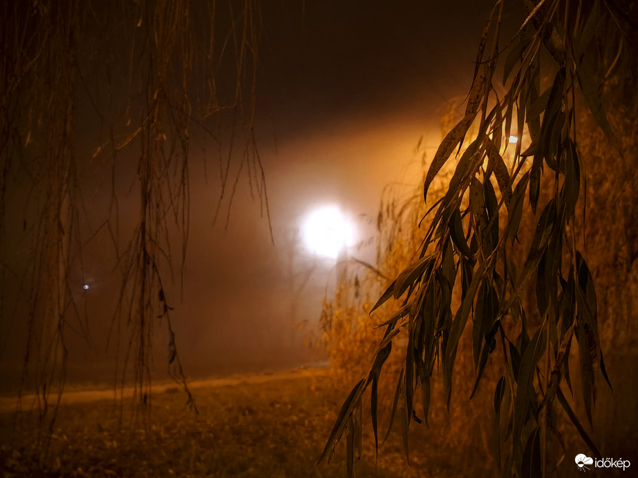 Ködösödő decemberi éjjel