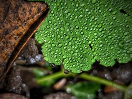 Szitálós idő adventi kivilágítása