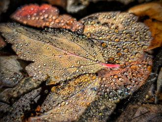 Varázslat a decemberi borúban