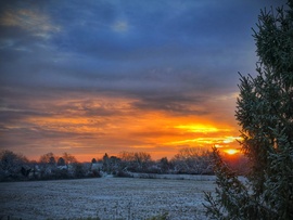 Porcukros napindító