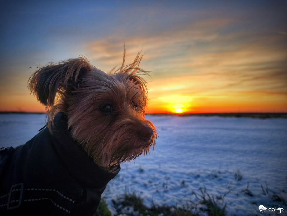 "Még azt, hogy modellkedjek ebben a hidegben!"