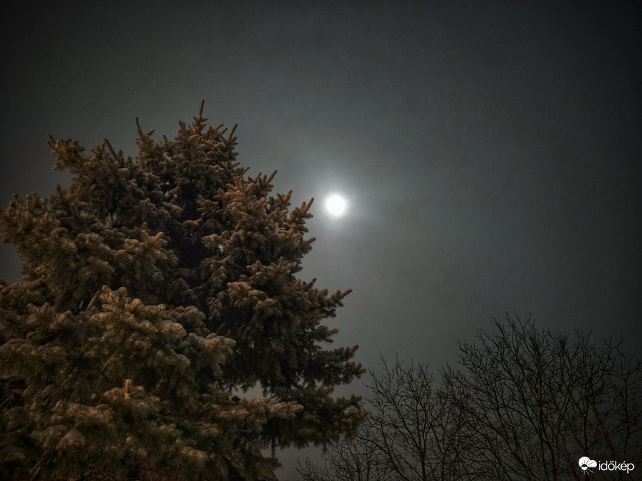 Holdfény a hóesésben