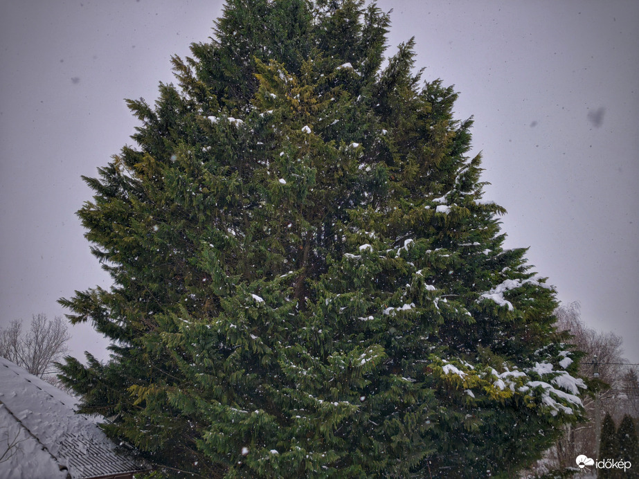 Közepes intenzitású havazás kezdődött