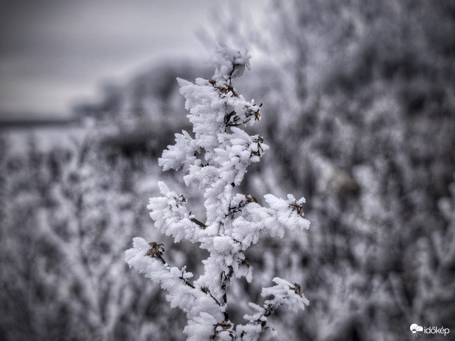 Zúzmarás műalkotás