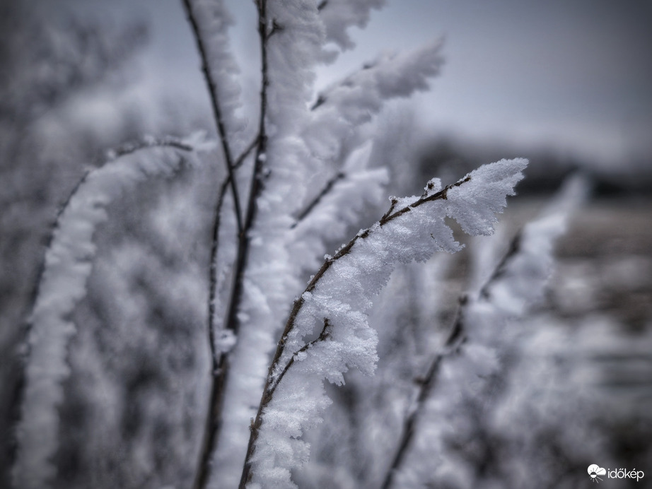 A tapintható mínuszok