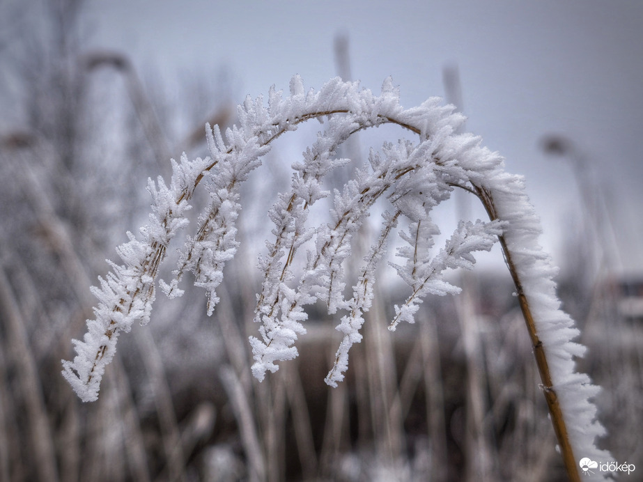 Súlyosbodó kristályok