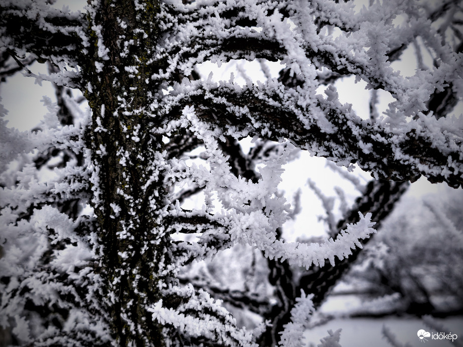 Zúzmarás kontraszt