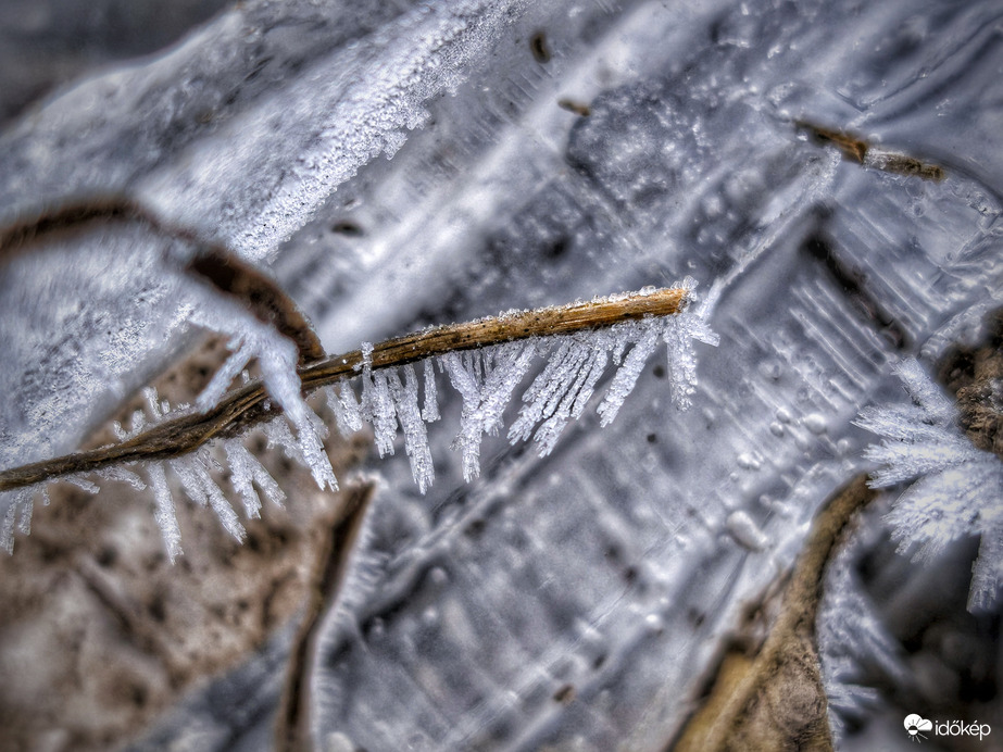 Jég hátán is zúzmara nő