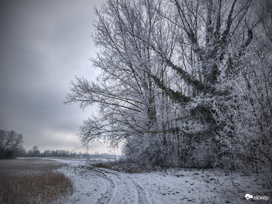 Kanyar a zúzmara földjén