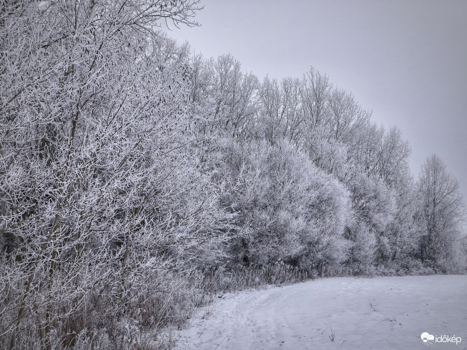 Túlnyomórészt fehérség