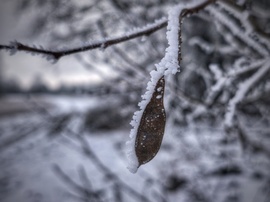 Zúzmarás köd varázsa