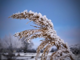 Zúzmarás táj a kiderülő éggel
