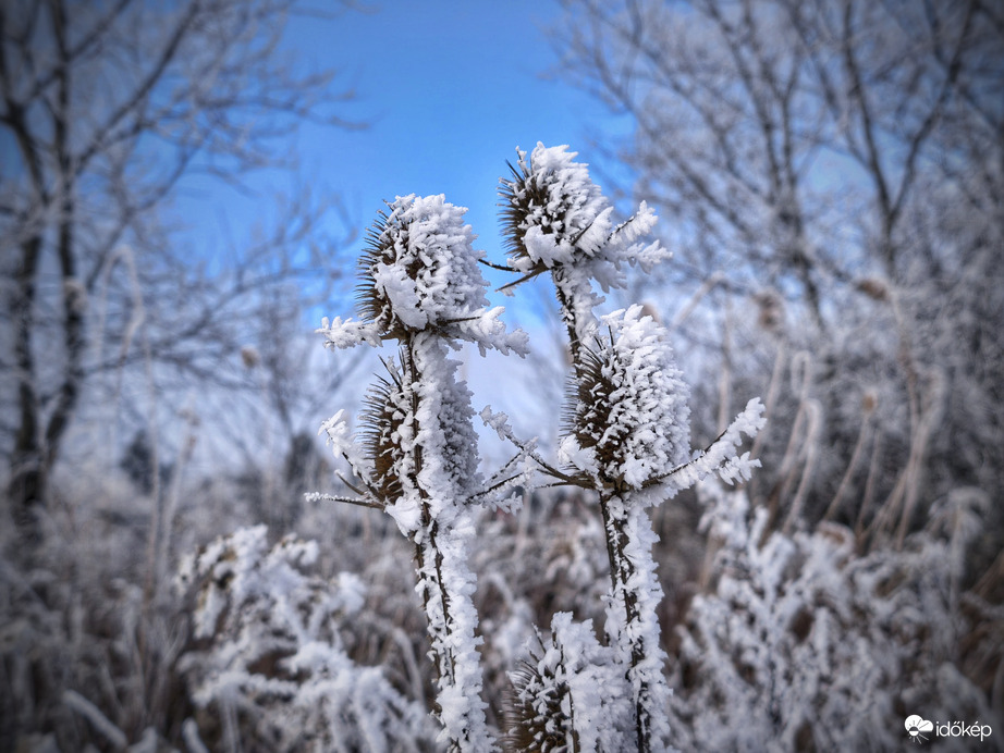 Zúzmarás integetők