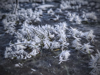 Törékeny alkotások a jégen