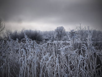 Fagyba zárt táj