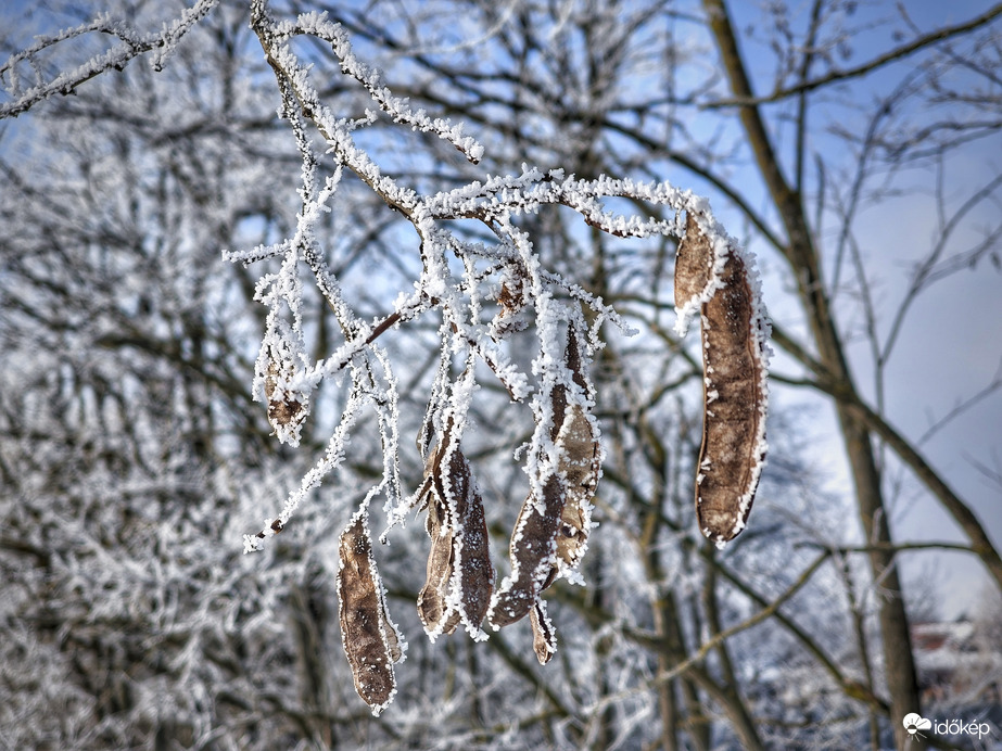 A zúzmara búcsújának kezdetén