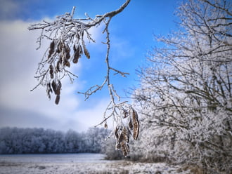 Napfény éri a zúzmarás tájat