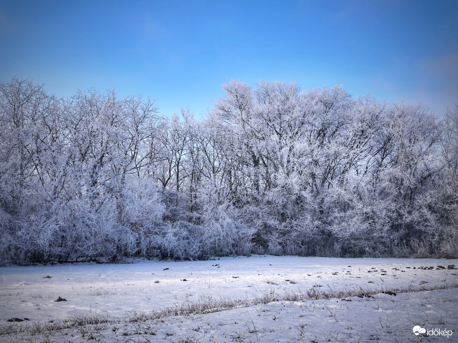 Zúzmarás téli tájkép