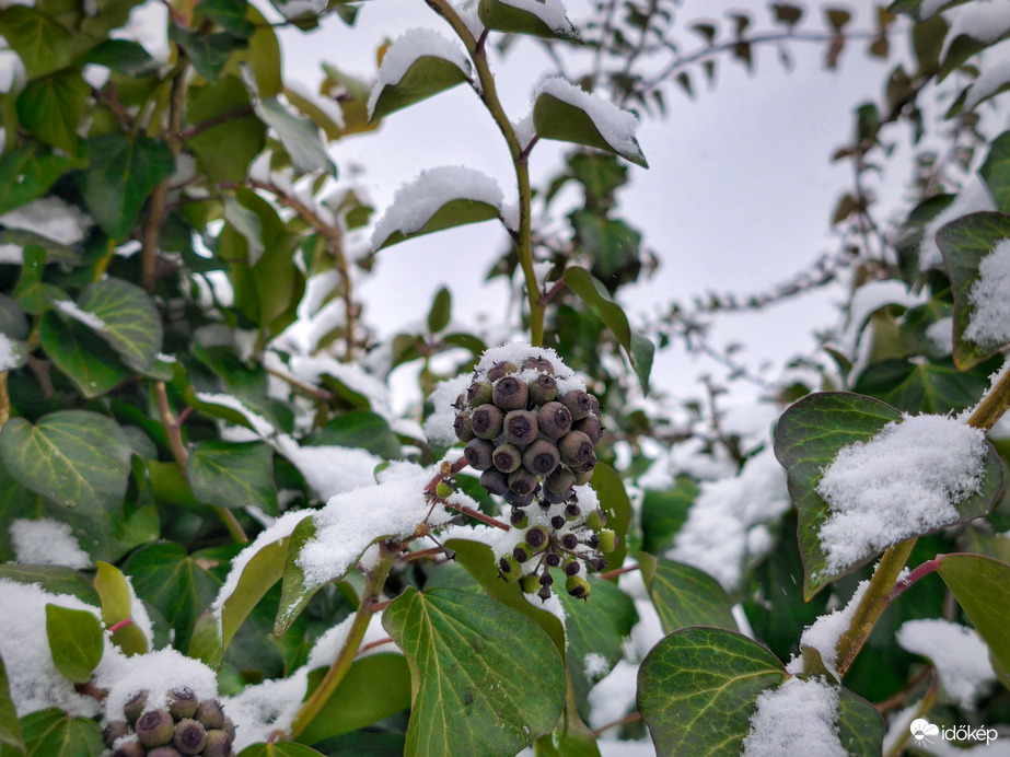 Melegfronti havazás