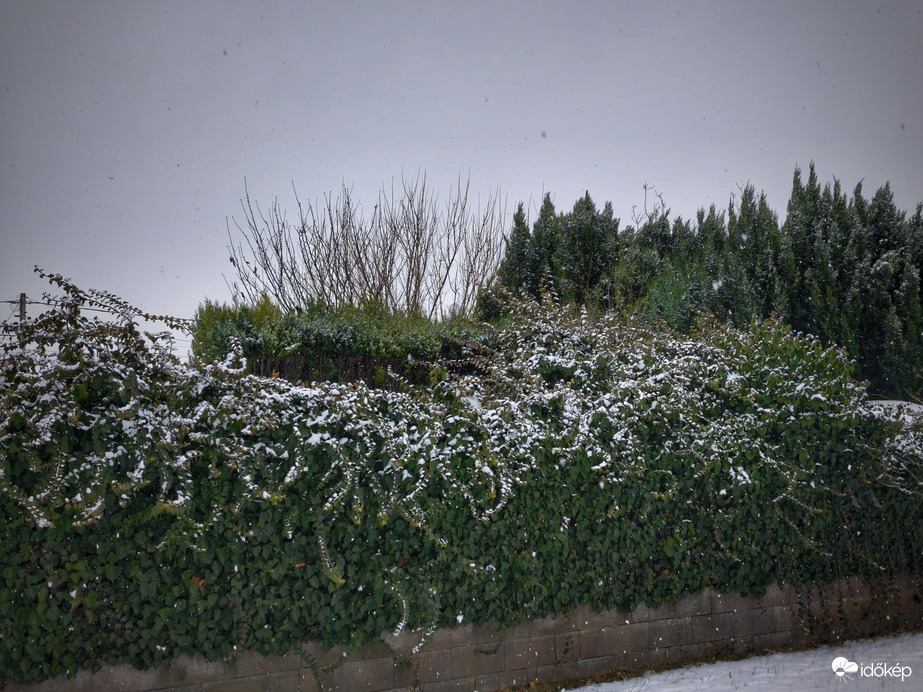 Sajnos már ónos eső is keveredik a nagypelyhes havazásba