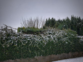 Sajnos már ónos eső is keveredik a nagypelyhes havazásba
