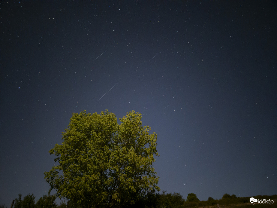 Perseidák