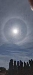 HALO