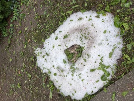 Solymár reggel, az esti jégeső után