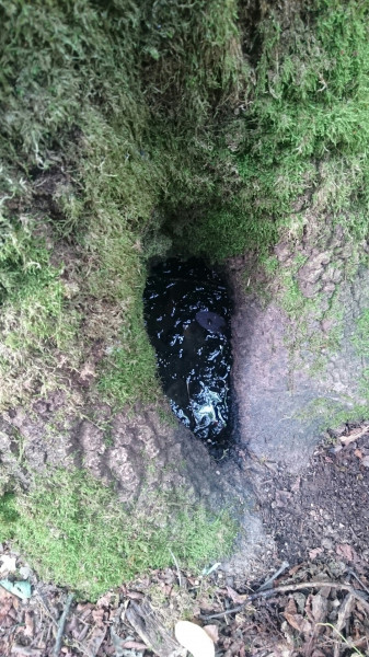 Budapest XVII.ker - Rákoshegy