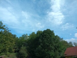 Balaton