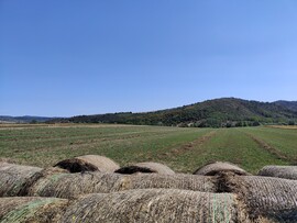 Magyarnándor