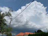 Resznek