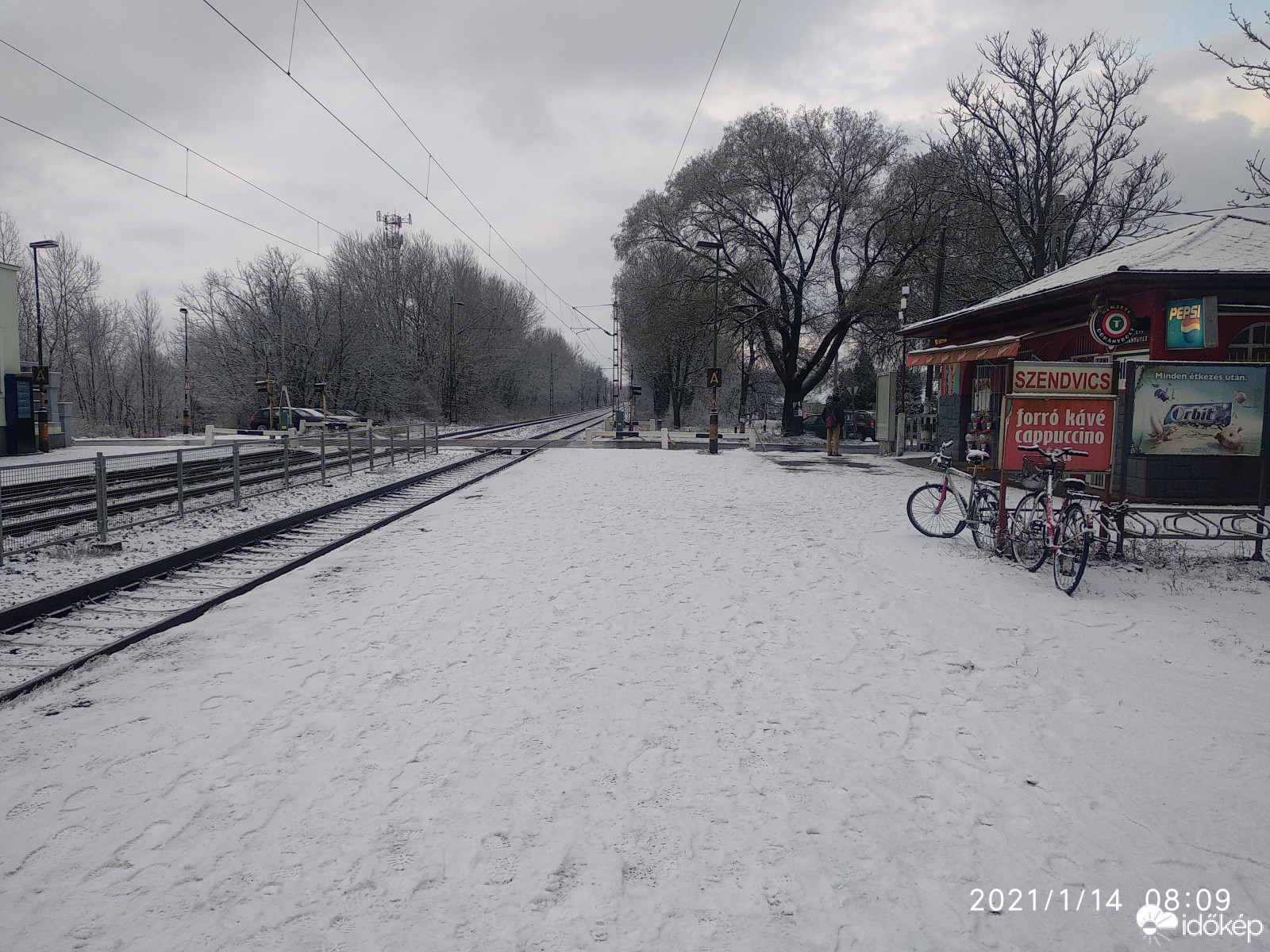 Sződ