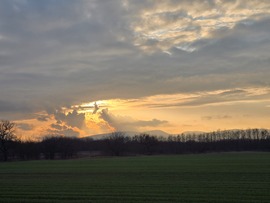 Sződ