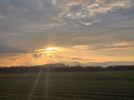 Sződ
