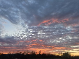 Sződ