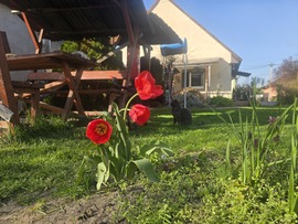 Sződ