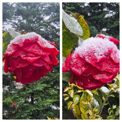 Budapest XII.ker - Széchenyi-hegy