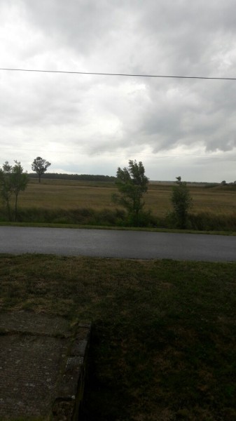 Darvas