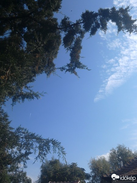Darvas