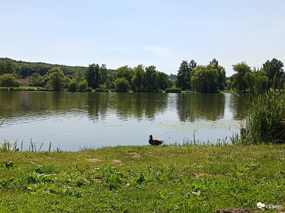 Nagykanizsa