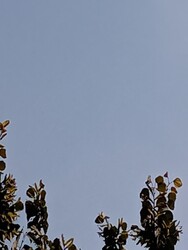 Szeged