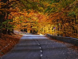 2025 ősz, Kékestetőn